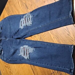 JUDY BLUE Jeans Womens 14W Blue Denim Preowned Distressed